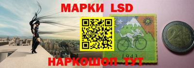 гидра Ростов-на-Дону