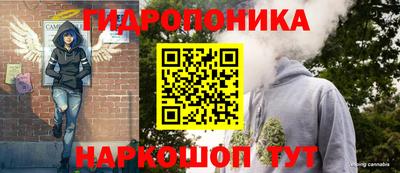 гидра Ростов-на-Дону
