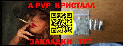 гидра Ростов-на-Дону