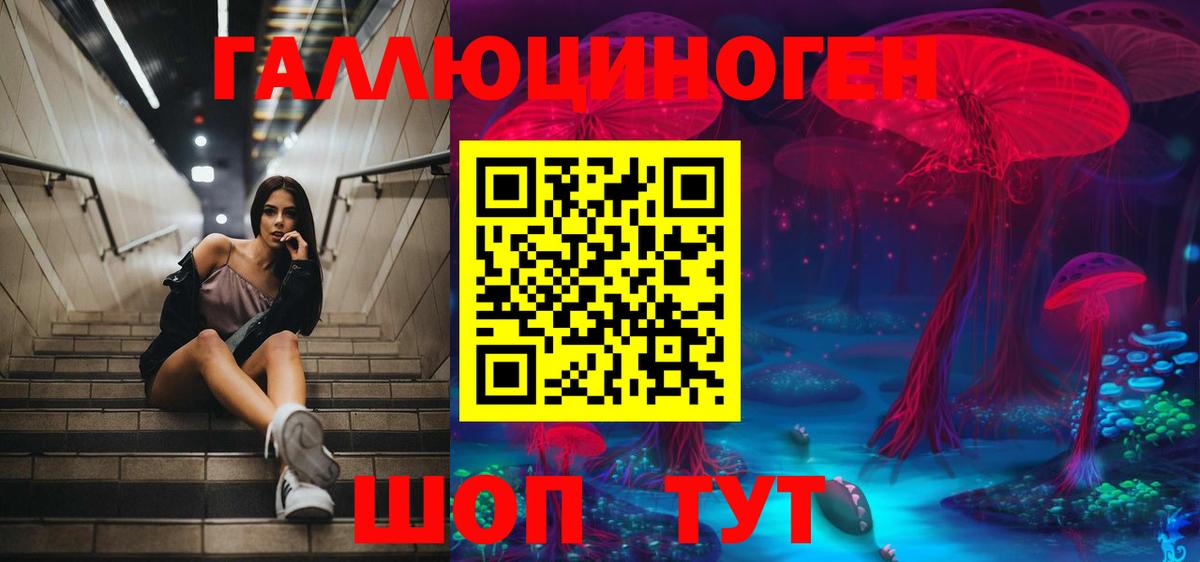 Псилоцибиновые грибы прущие грибы Белая Калитва
