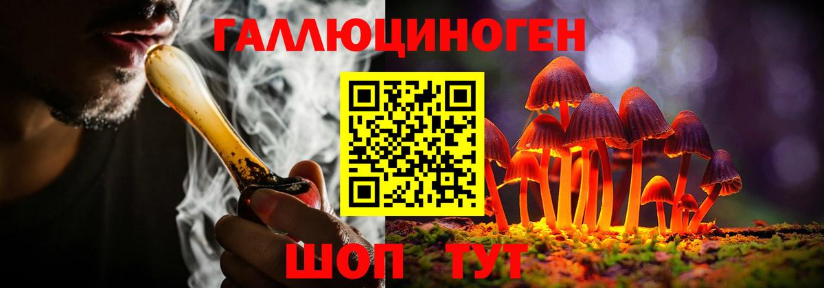 Псилоцибиновые грибы мицелий  Псилоцибиновые грибы GOLDEN TEACHER  Белая Калитва  Вход с VPN 